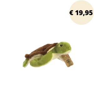 econation schildpad
